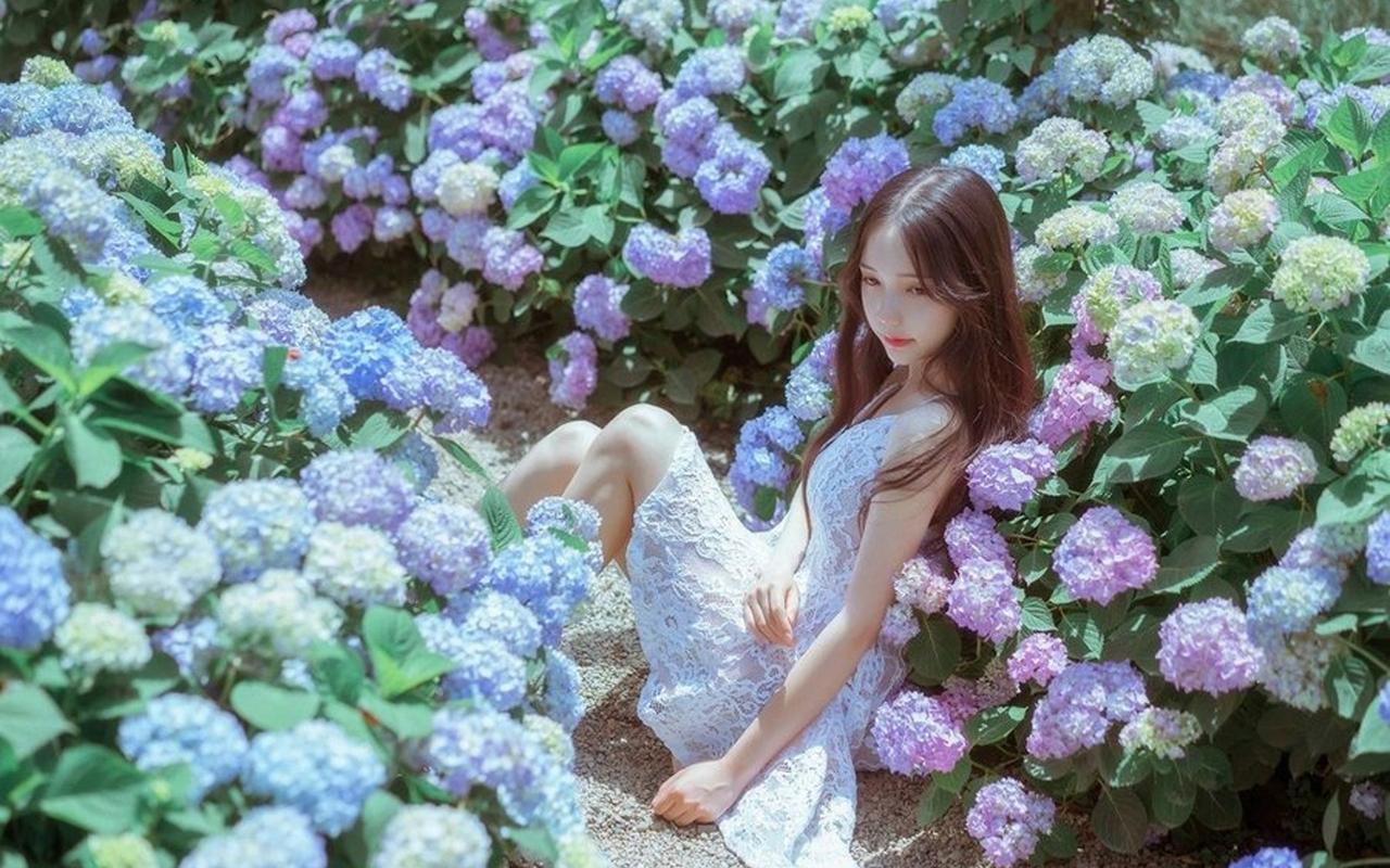 国家二级重点保护野生植物茶果樟在云南新增多个分布点